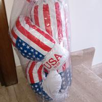 Sacco da boxe + guantoni