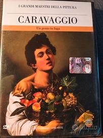 Collezione 32 DVD Maestri della Pittura a scelta