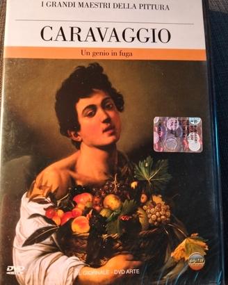 Collezione 32 DVD Maestri della Pittura a scelta