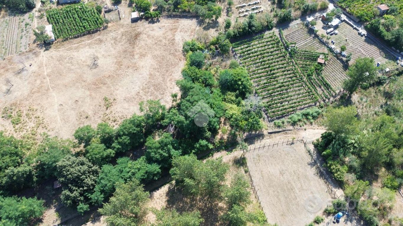 TERRENO A POLLENA TROCCHIA - Vista 3