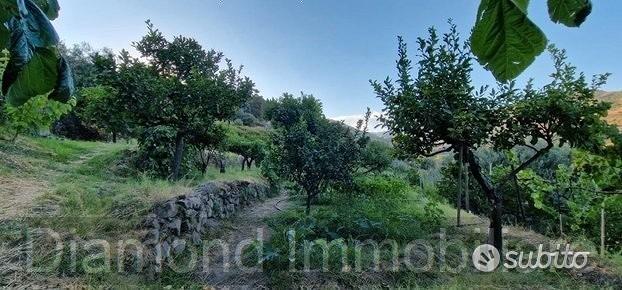 Terreno agricolo 12.000 mq a piedimonte etneo - Vista 4