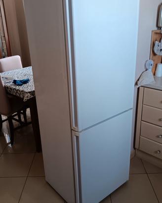 Frigo candy