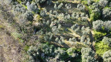 TER. AGRICOLO A PISTOIA