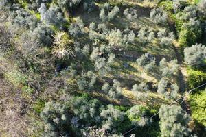 TER. AGRICOLO A PISTOIA