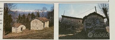 Rustici con vista centro lago