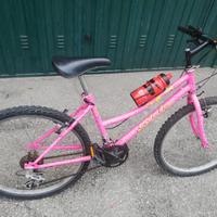 Bici da 24