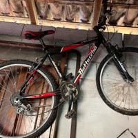 mountain bike bottecchia