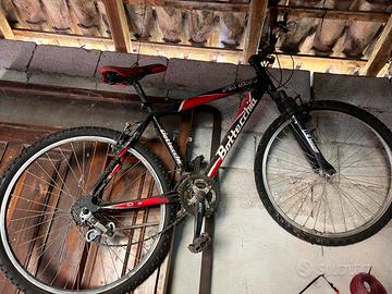 mountain bike bottecchia