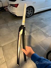 Forcella in Carbonio bici da corsa