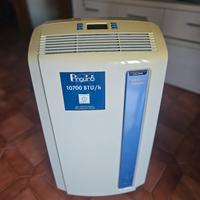Pinguino Delonghi categoria PAC AN96