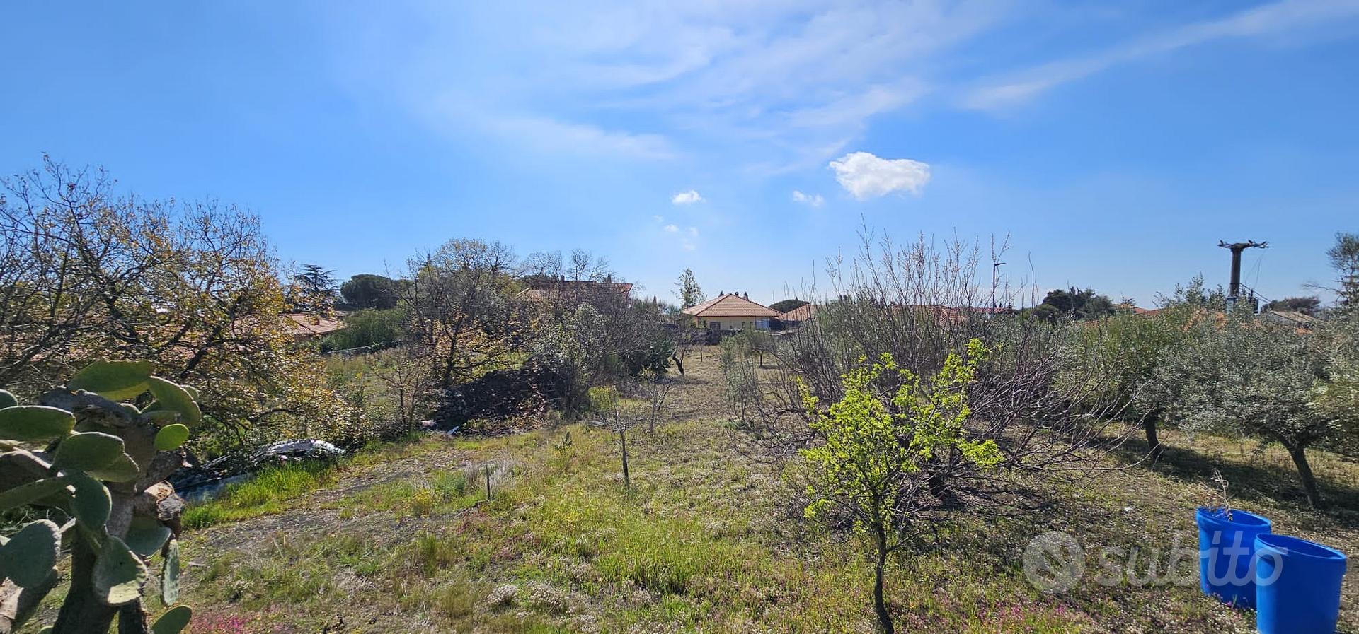 Cod.TE109 Terreno edificabile con casa rurale - Vista 2