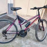bicicletta mtb