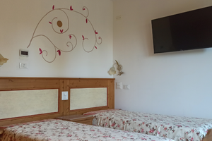 Stanze 30 minuti da Venezia