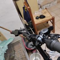 bici elettrica 