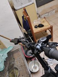 bici elettrica 