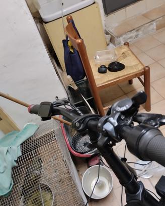 bici elettrica 