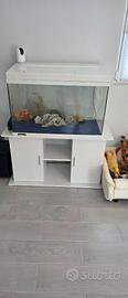 Acquario con mobile