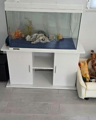 Acquario con mobile