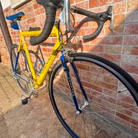 Bici da corsa colnago master