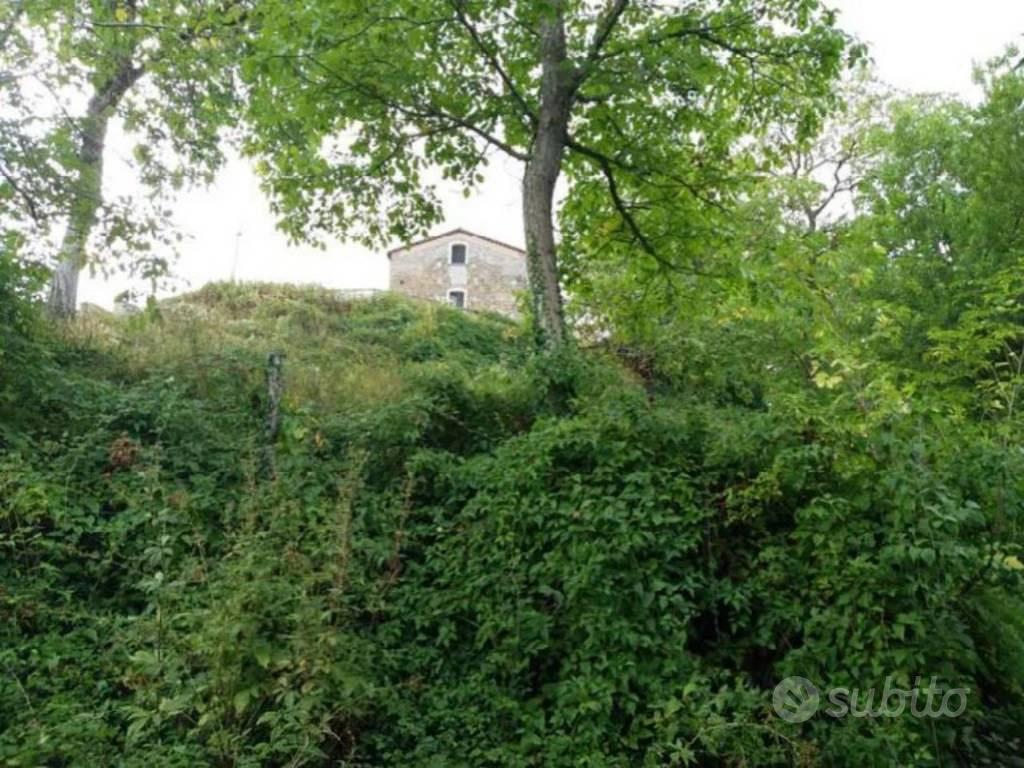 Immobile in asta di 2150 m² a Decollatura - Vista 3