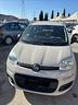 fiat-panda-1-2-lounge-neo-patentato