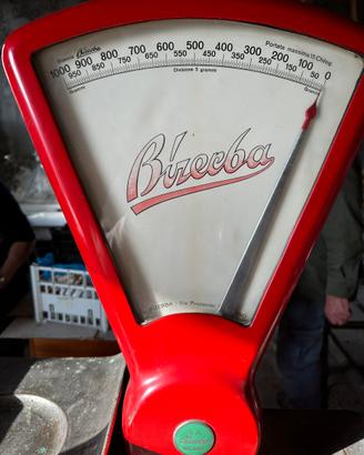 Bialncia bizerba