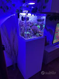 Acquario marino aqpet 60 lt