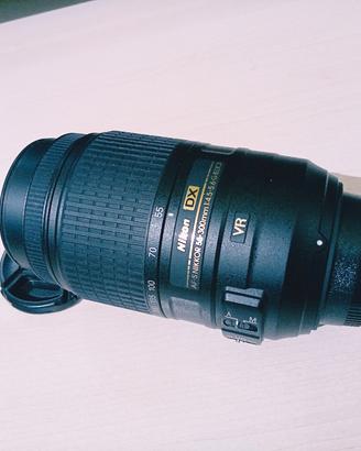 Nikon AF-S DX Nikkor 55-300mm f/4.5-5.6 G VR
