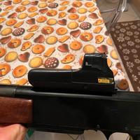 Punto rosso bushnell