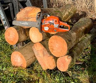 Legna da ardere fresca appena tagliata e spaccata