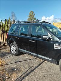 Freelander 