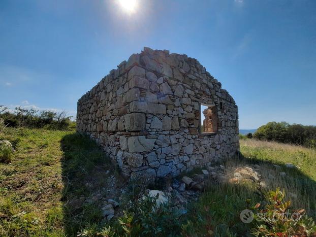 Rudere di annesso agricolo con olivi