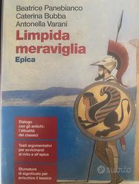Libro scolastico