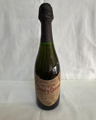 Cava Juve y camps vintage 1987 extra brut