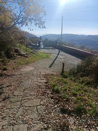 Terreno agricolo Montestella