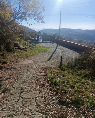 Terreno agricolo Montestella