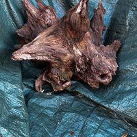 Radica per addobbi Presepe e Serpentai