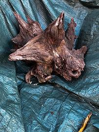 Radica per addobbi Presepe e Serpentai