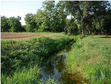 3 ettari di terreno agricolo con possibile vigneto