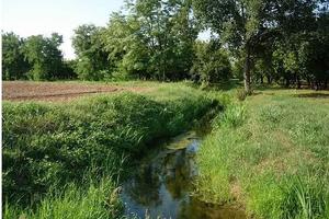 3 ettari di terreno agricolo con possibile vigneto