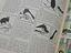 Immagine 5