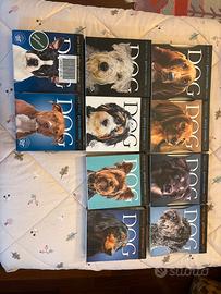 Calendario Dog dal 2014 al 2023