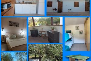 LastMinute Agosto - Settembre