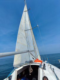 Stag 24 - Barca a vela