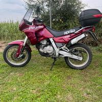 Pegaso 650