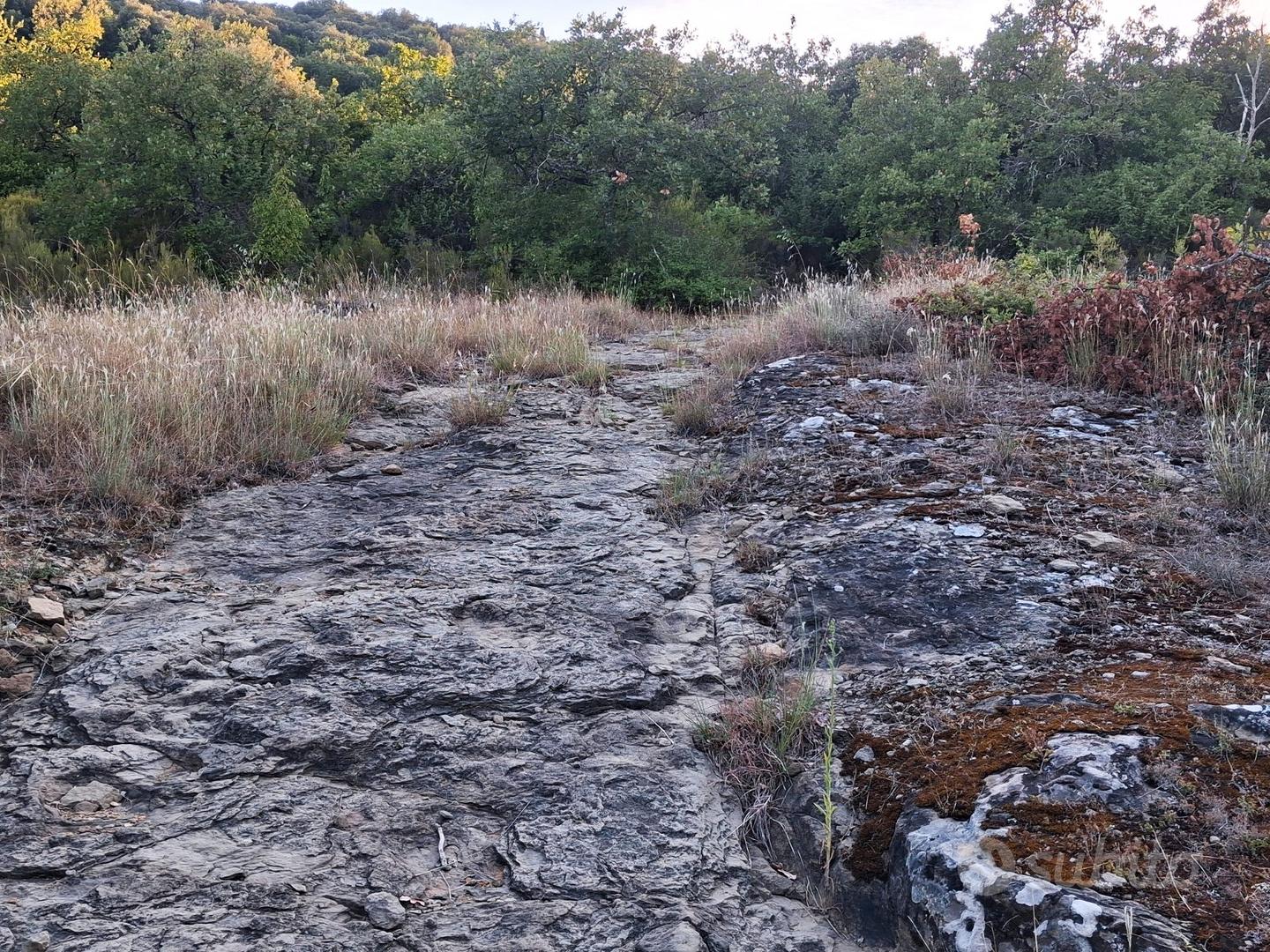 Terreno con capanno,pozzo e corrente-ruscello (ar) - Vista 5