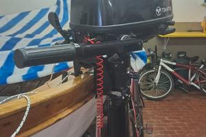 Motore nautico fuoribordo