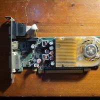 Scheda video Nvidia Gt 210 