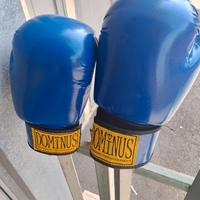 Guanti boxe