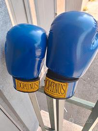 Guanti boxe